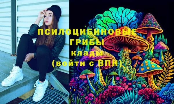 COCAINE Каменск-Шахтинский