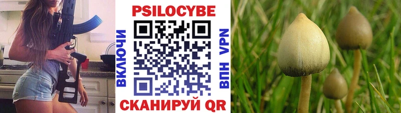 Галлюциногенные грибы MAGIC MUSHROOMS  Купить закладки  Дюртюли 